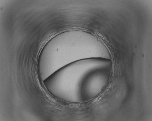 X0000062910049200601181229