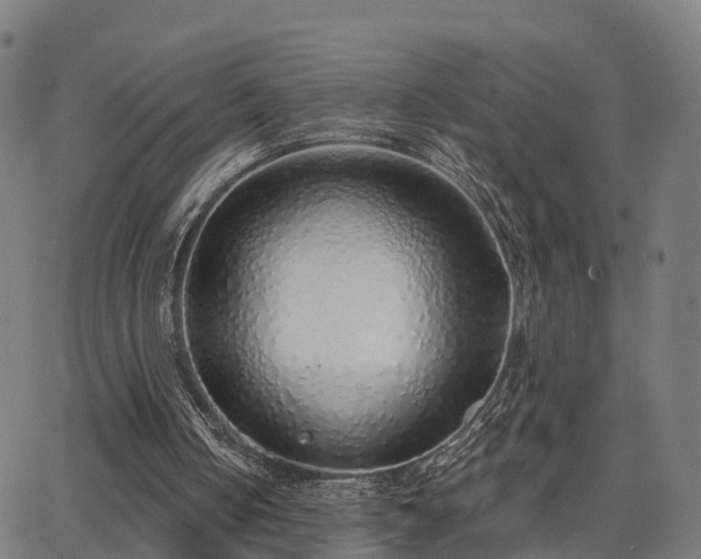 X0000062910050200601181229