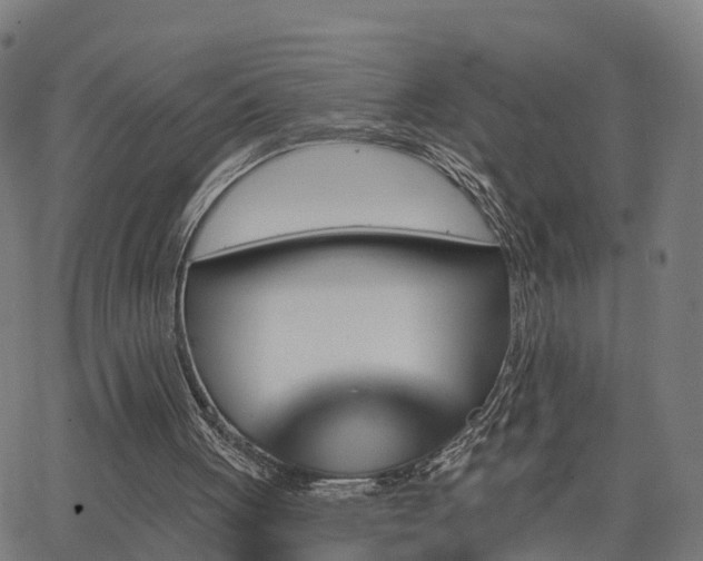 X0000062910051200601181229