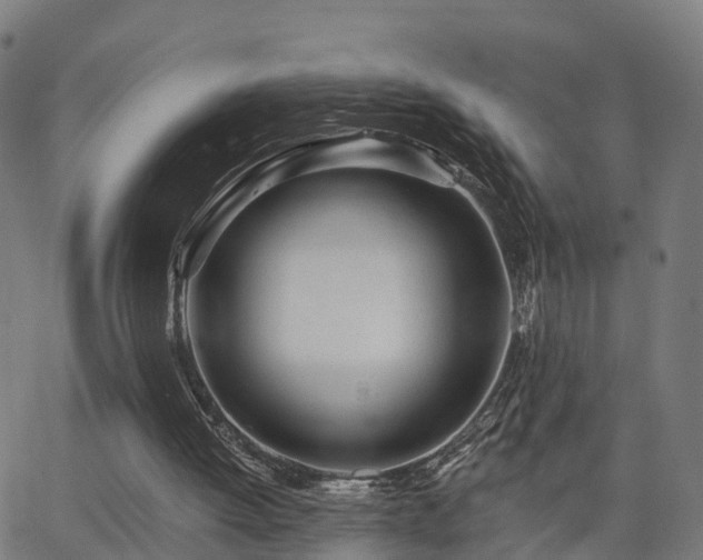 X0000062910052200601181229