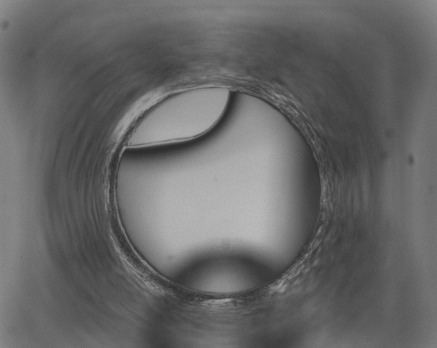 X0000062910054200601181229