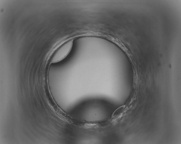 X0000062910055200601181229