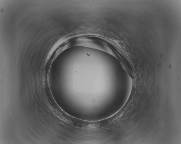 X0000062910056200601181229