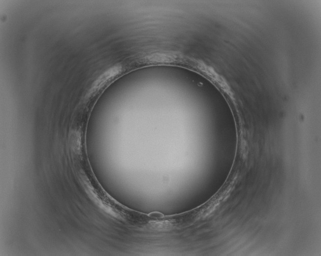 X0000062910057200601181229