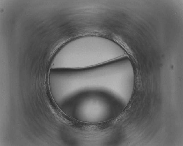 X0000062910058200601181229