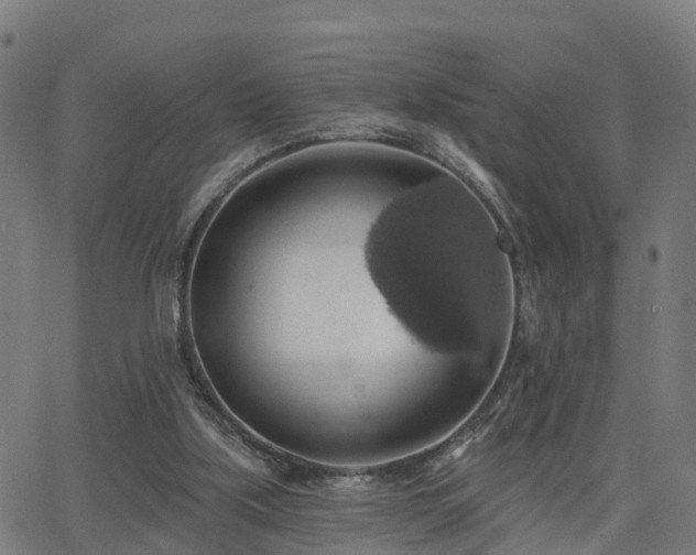 X0000062910059200601181230