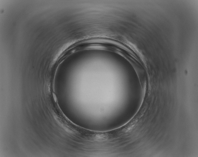 X0000062910060200601181230