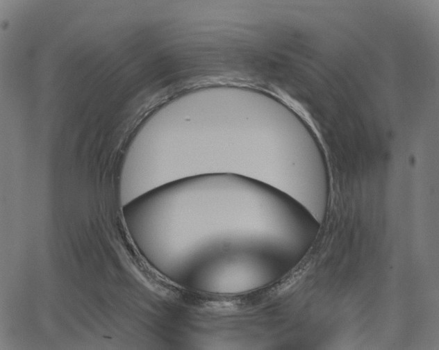 X0000062910061200601181230