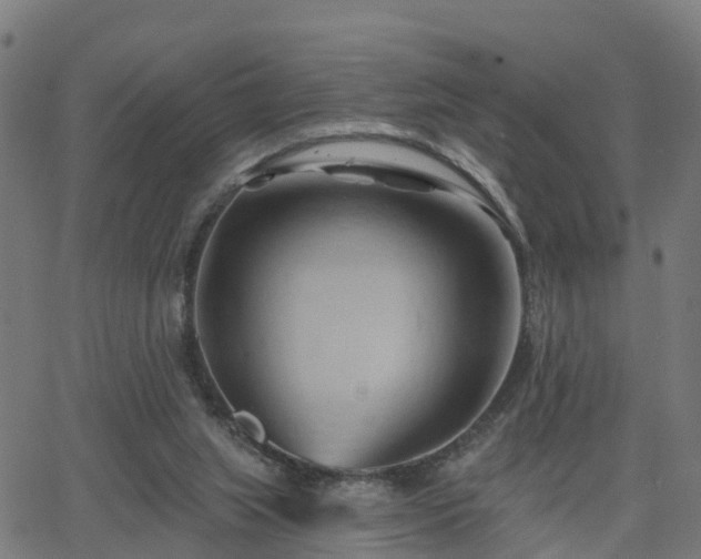 X0000062910063200601181230