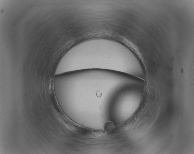 X0000062910065200601181230