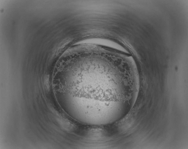 X0000062910066200601181230