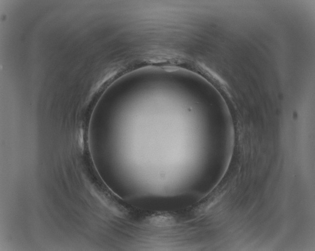 X0000062910067200601181230