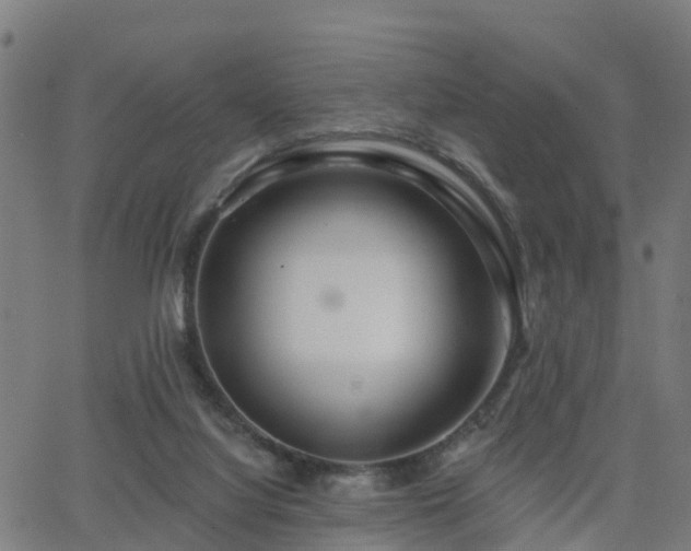 X0000062910068200601181230