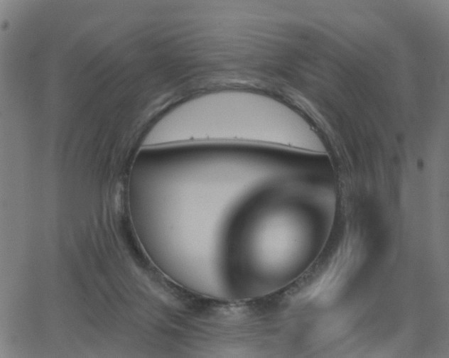 X0000062910071200601181230