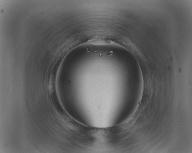 X0000062910074200601181230