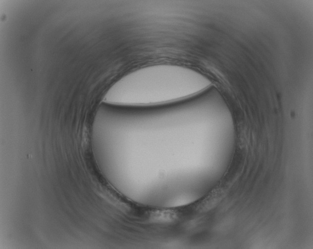 X0000062910077200601181230