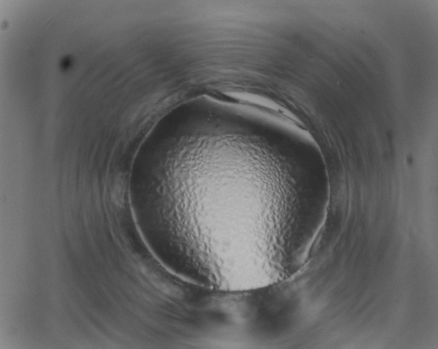 X0000062910078200601181230