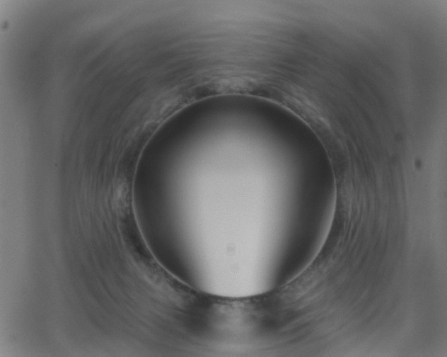 X0000062910079200601181230