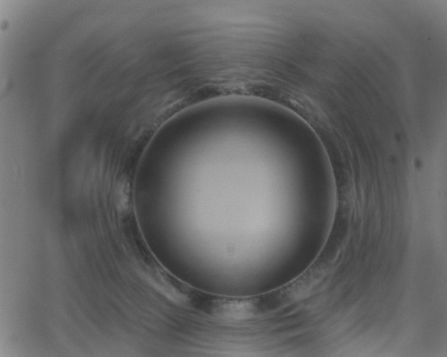 X0000062910081200601181230