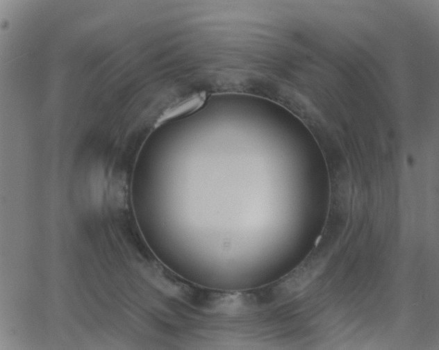 X0000062910083200601181230