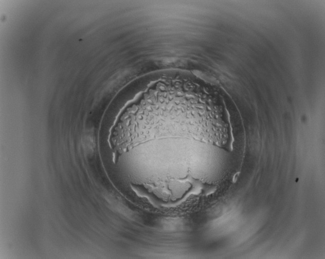 X0000062910085200601181230