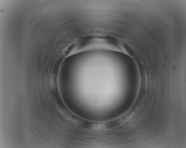 X0000062910088200601181230