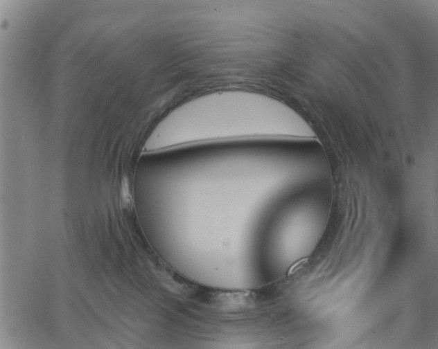 X0000062910089200601181230