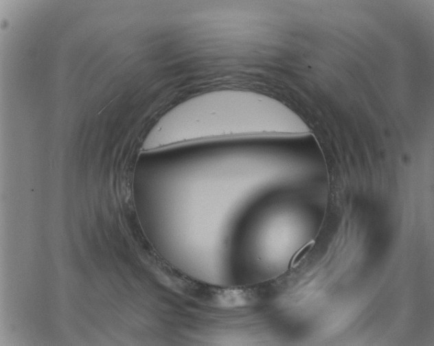 X0000062910091200601181230