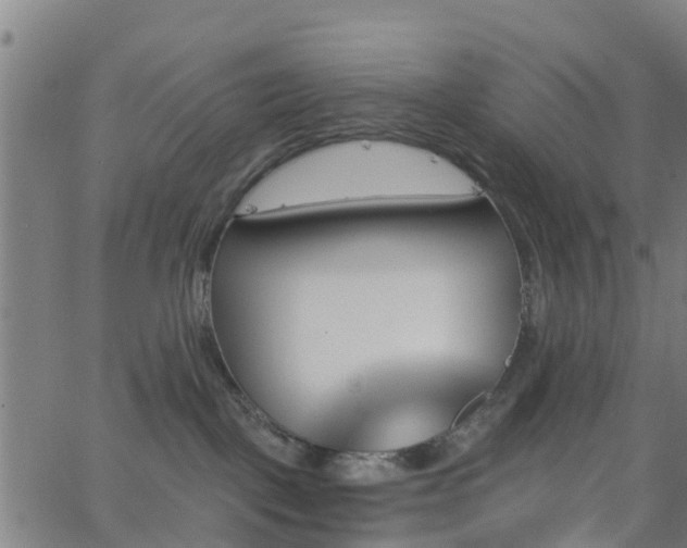 X0000062910093200601181230