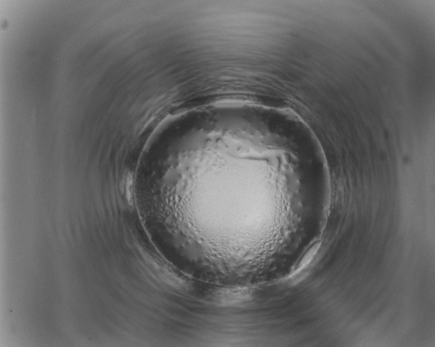 X0000062910094200601181230