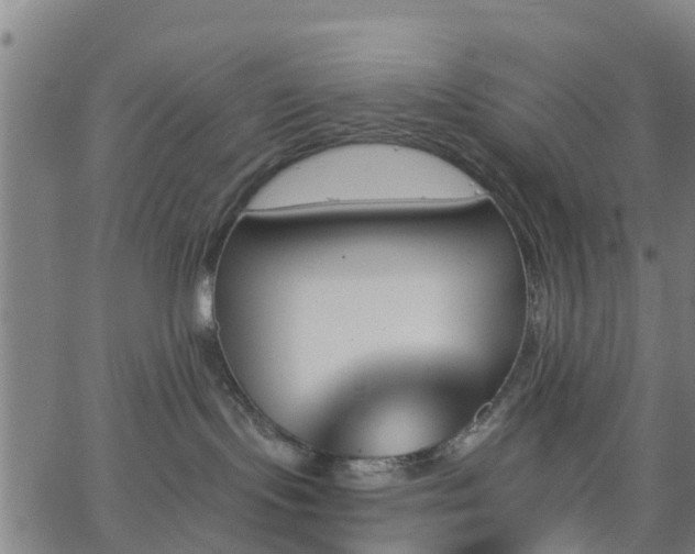 X0000062910095200601181230