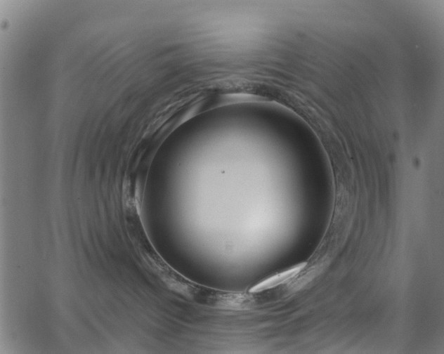 X0000062910096200601181230