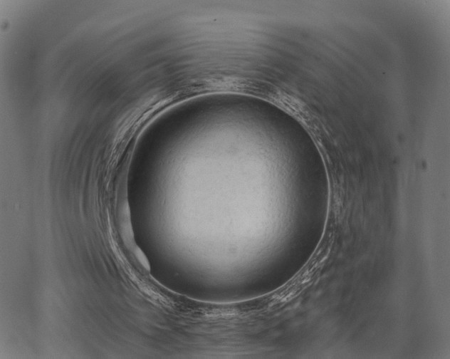 X0000062910097200601181229