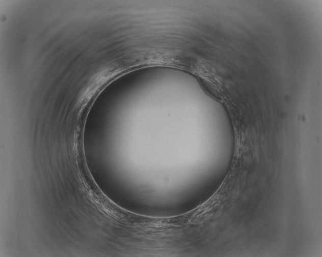 X0000062910098200601181229