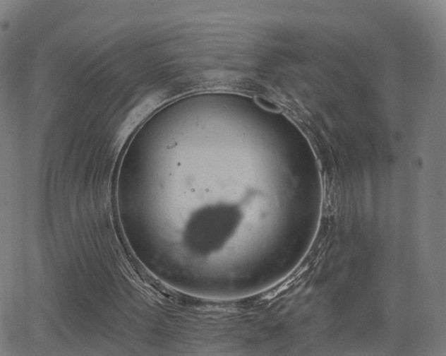 X0000062910099200601181229