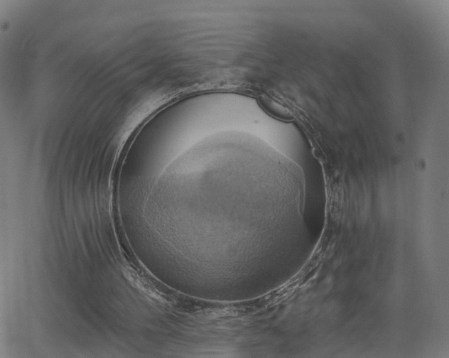 X0000062910100200601181229