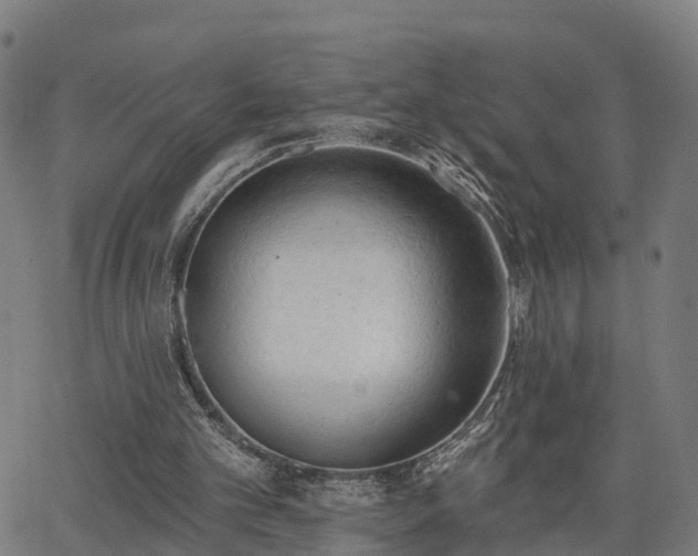 X0000062910101200601181229