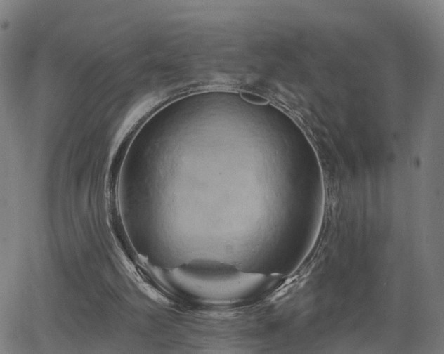 X0000062910102200601181229