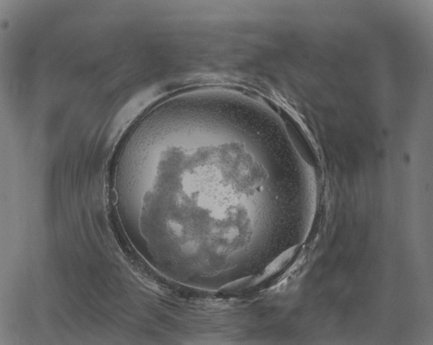 X0000062910103200601181229