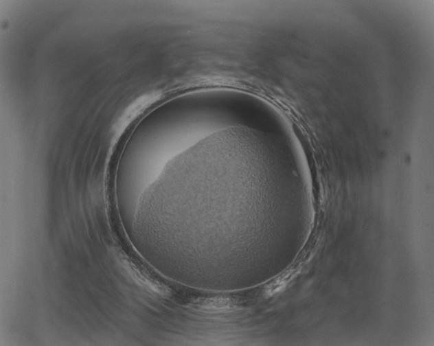 X0000062910104200601181229