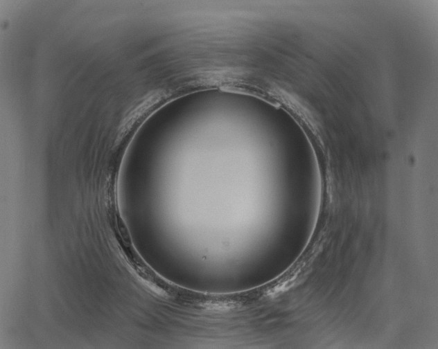 X0000062910105200601181229