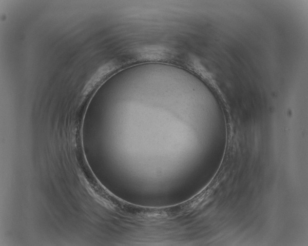 X0000062910106200601181229