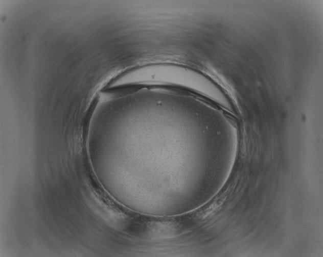 X0000062910107200601181229