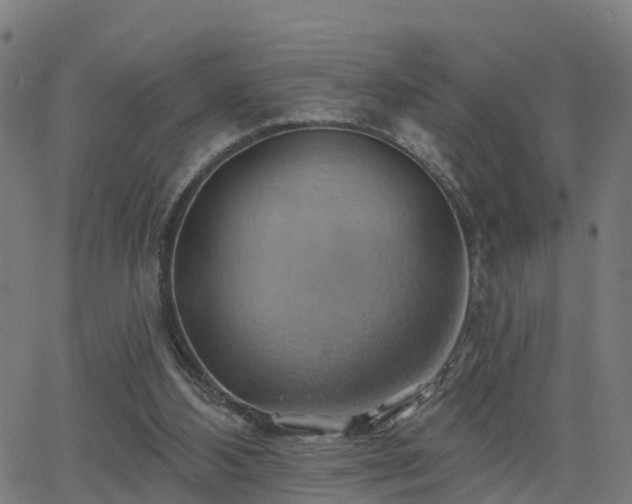 X0000062910108200601181229