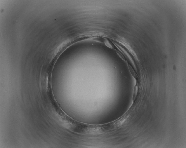 X0000062910110200601181229