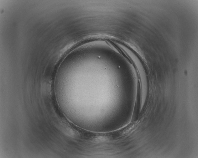 X0000062910111200601181229