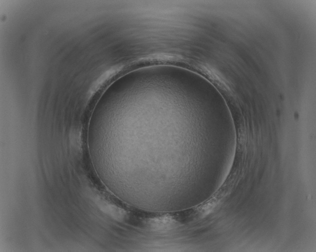 X0000062910112200601181229