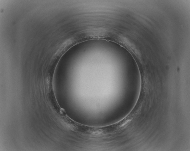 X0000062910113200601181229