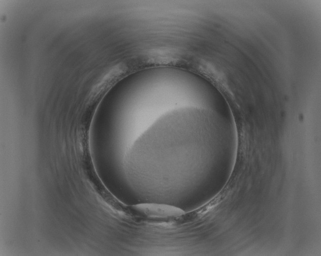 X0000062910114200601181229