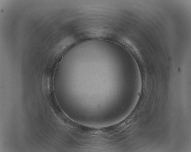 X0000062910115200601181229